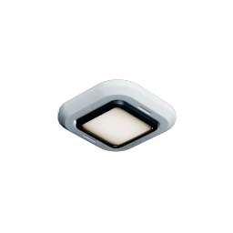 Bulb Ceiling Lamp