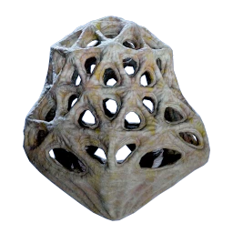 Cage Gorgon