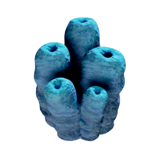 Toxic Sponge