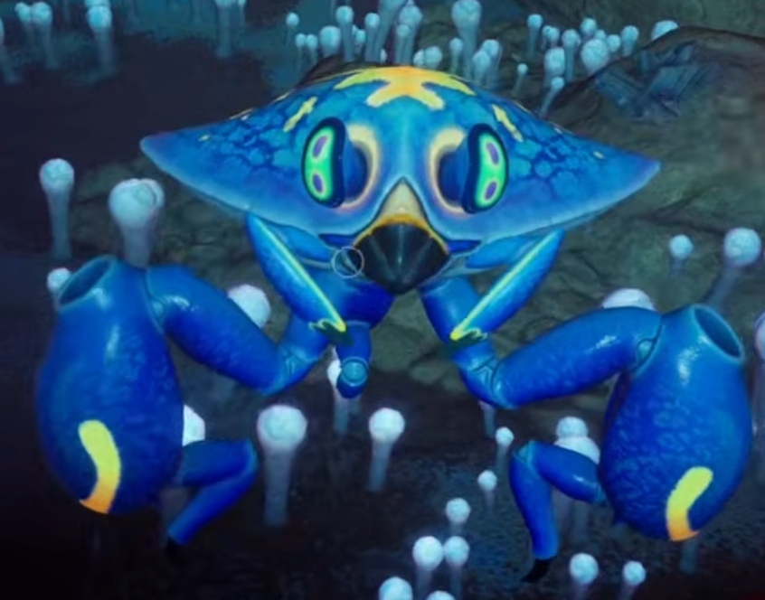 Jetto Cararis Crab