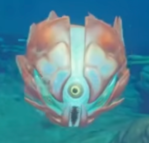 Shoal Ray