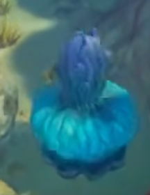 Necrolay Jelly