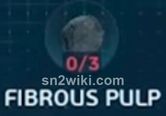 Fibrous Pulp